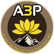 A3P (Agent en Protection Physique des Personnes)